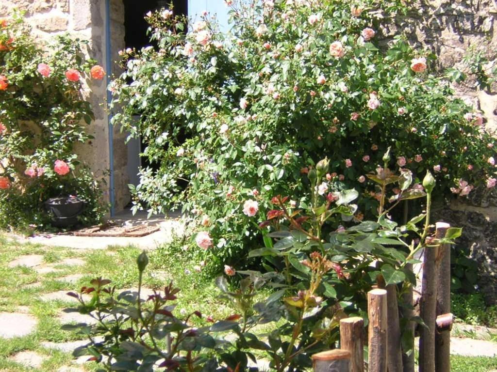 Mas Casta Nea Bed & Breakfast Thueyts ภายนอก รูปภาพ